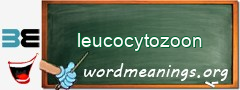 WordMeaning blackboard for leucocytozoon